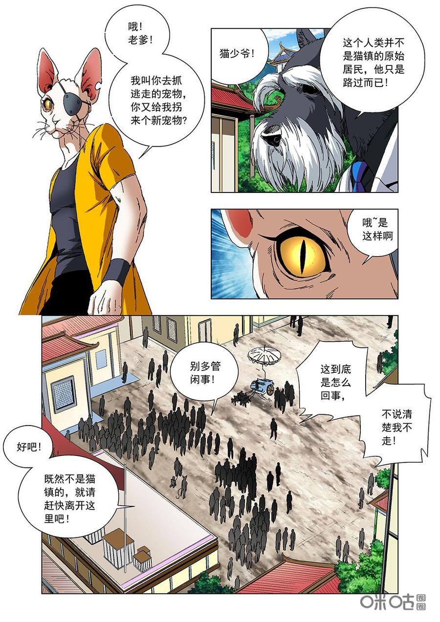 《全物种进化》第103话猫镇 第15页