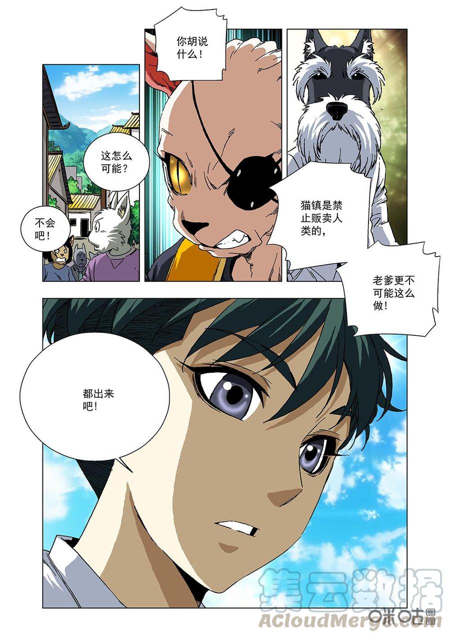 《全物种进化》第107话猫镇的法律 第7页