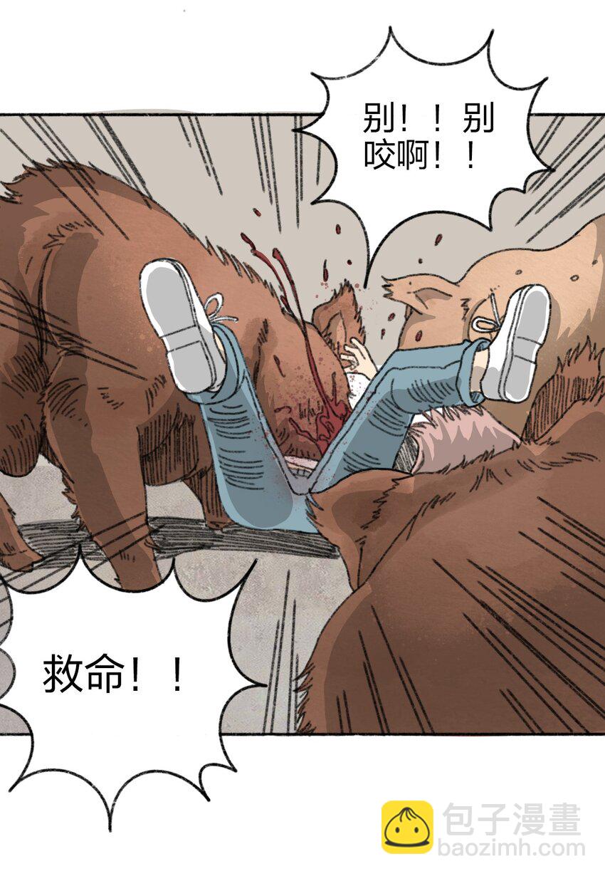 《404事件簿-30秒后世界末日》002 野猪侵袭 第29页