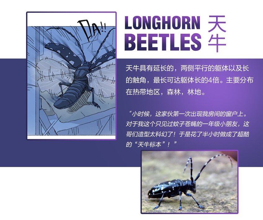 《404事件簿-30秒后世界末日》百科 虫男大百科 第2页