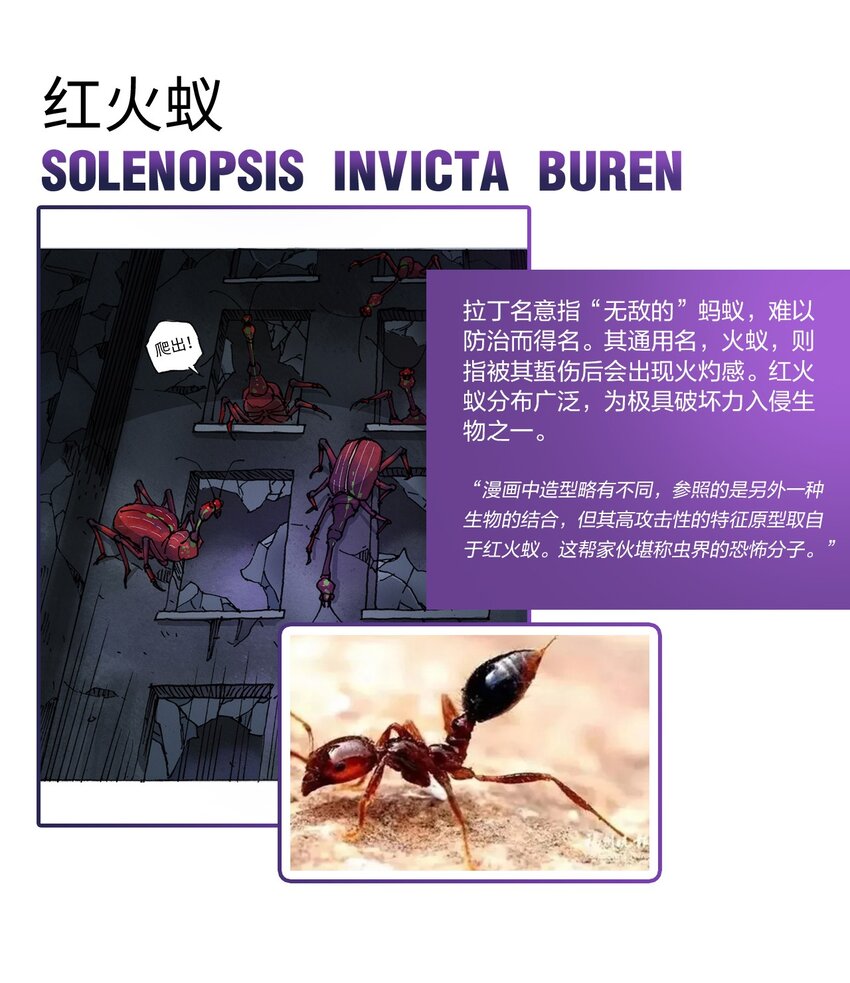 《404事件簿-30秒后世界末日》百科 虫男大百科 第4页