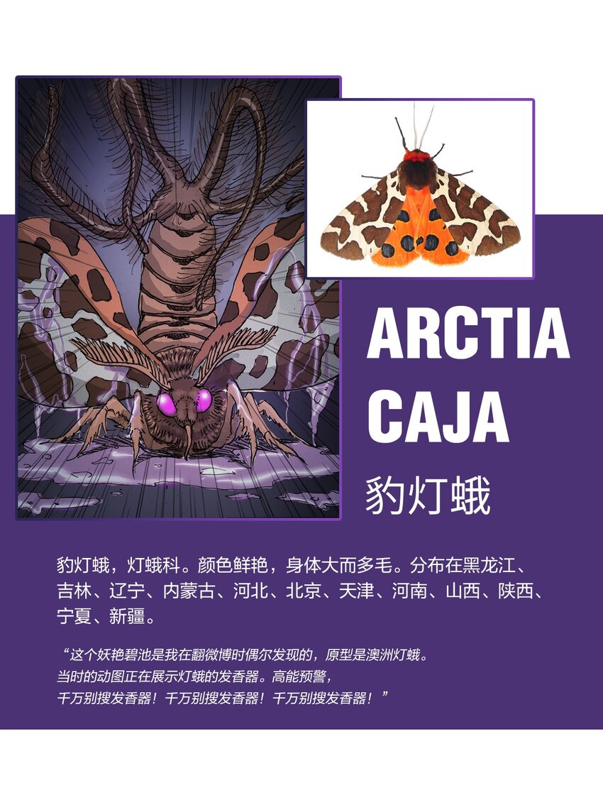 《404事件簿-30秒后世界末日》百科 虫男大百科 第6页