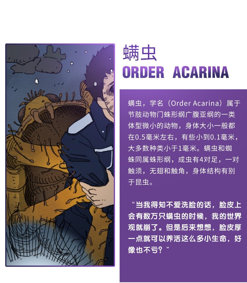 《404事件簿-30秒后世界末日》番外01 番外01+百科 第31页