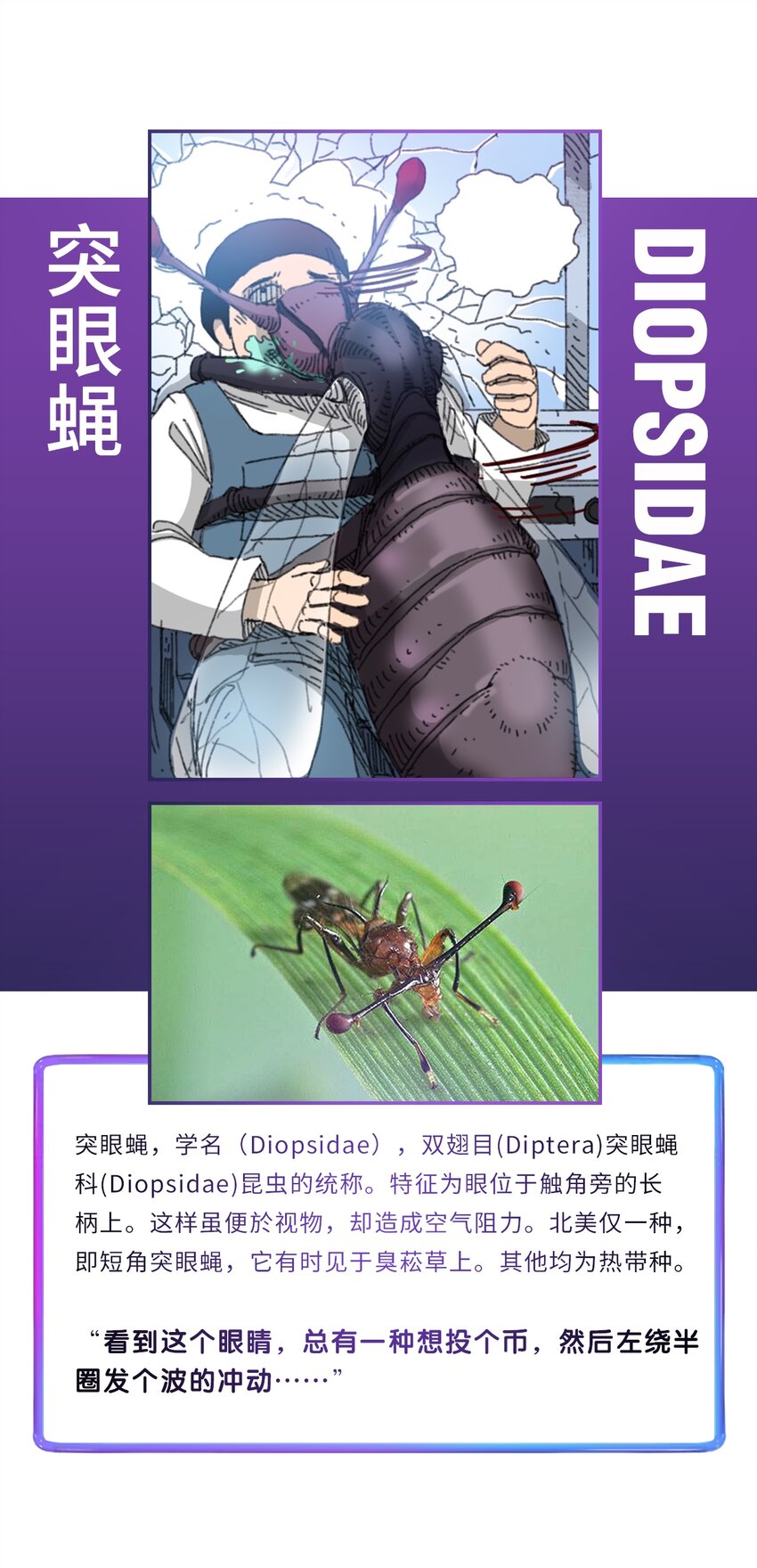 《404事件簿-30秒后世界末日》番外01 番外01+百科 第33页