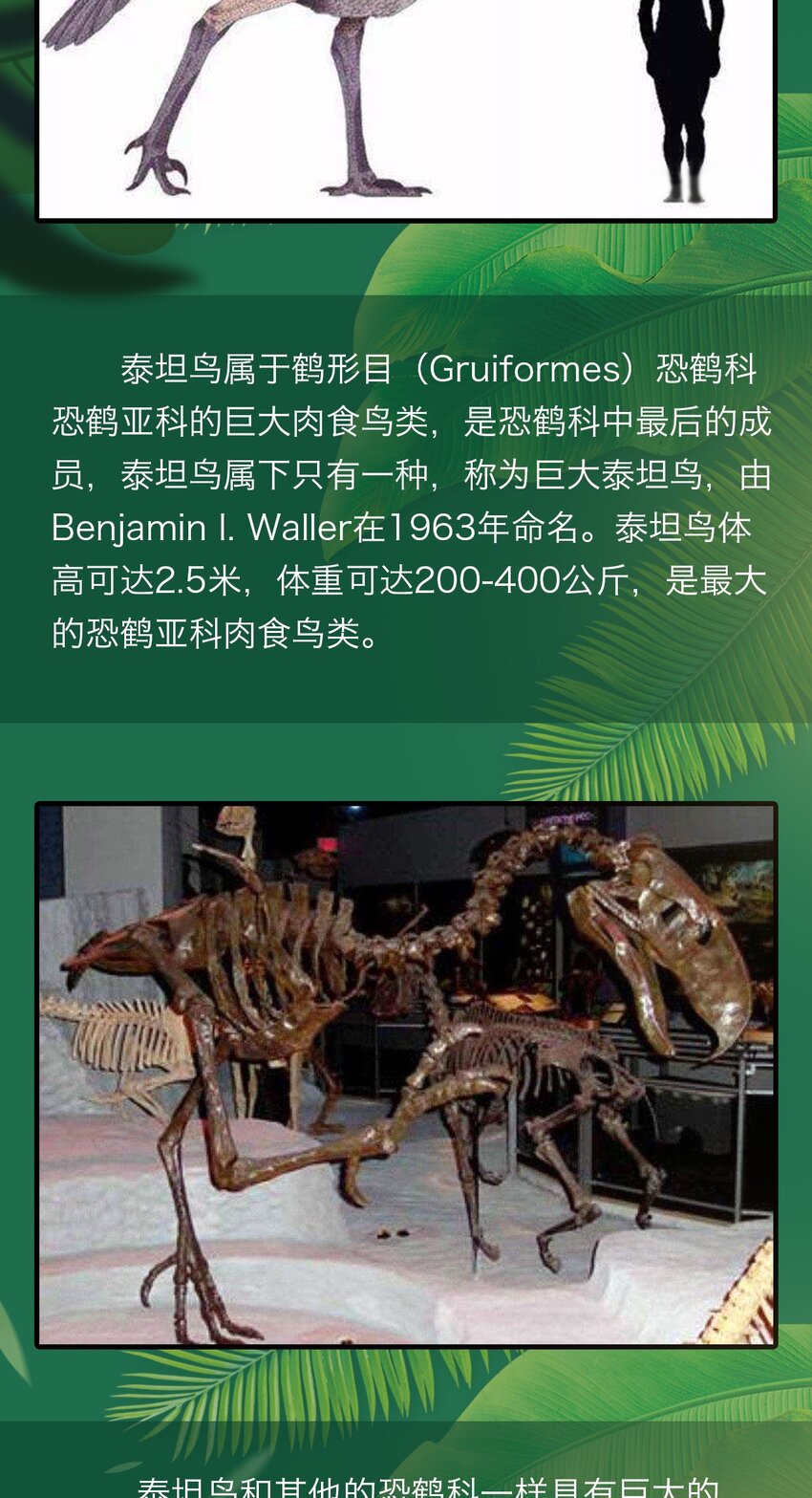 《404事件簿-30秒后世界末日》百科 虫男大百科3 第10页