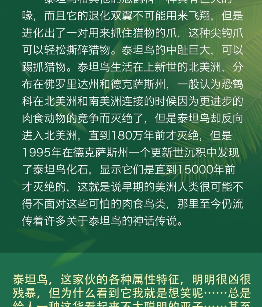 《404事件簿-30秒后世界末日》百科 虫男大百科3 第11页