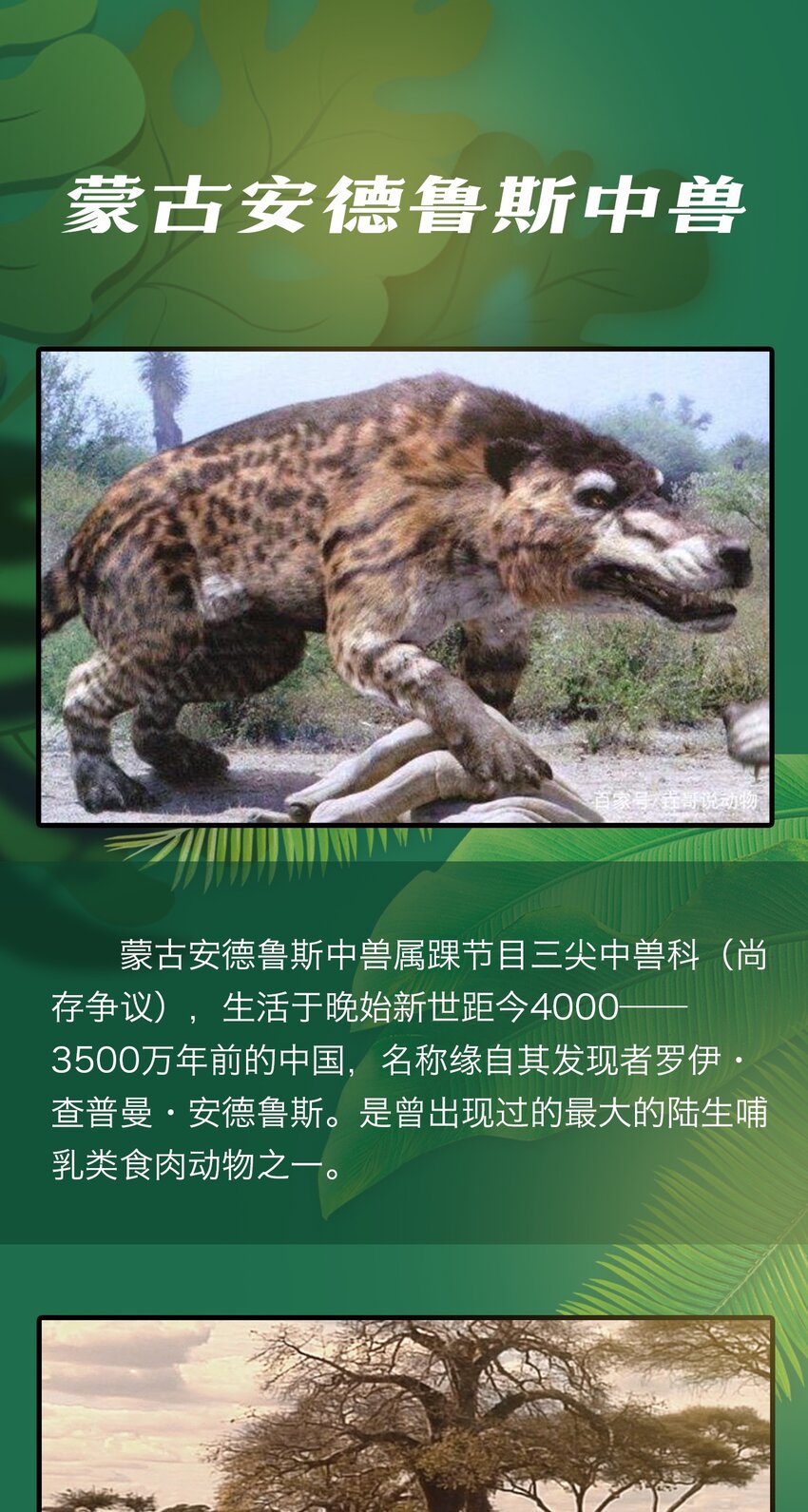《404事件簿-30秒后世界末日》百科 虫男大百科3 第13页