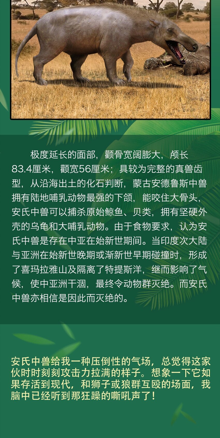 《404事件簿-30秒后世界末日》百科 虫男大百科3 第14页
