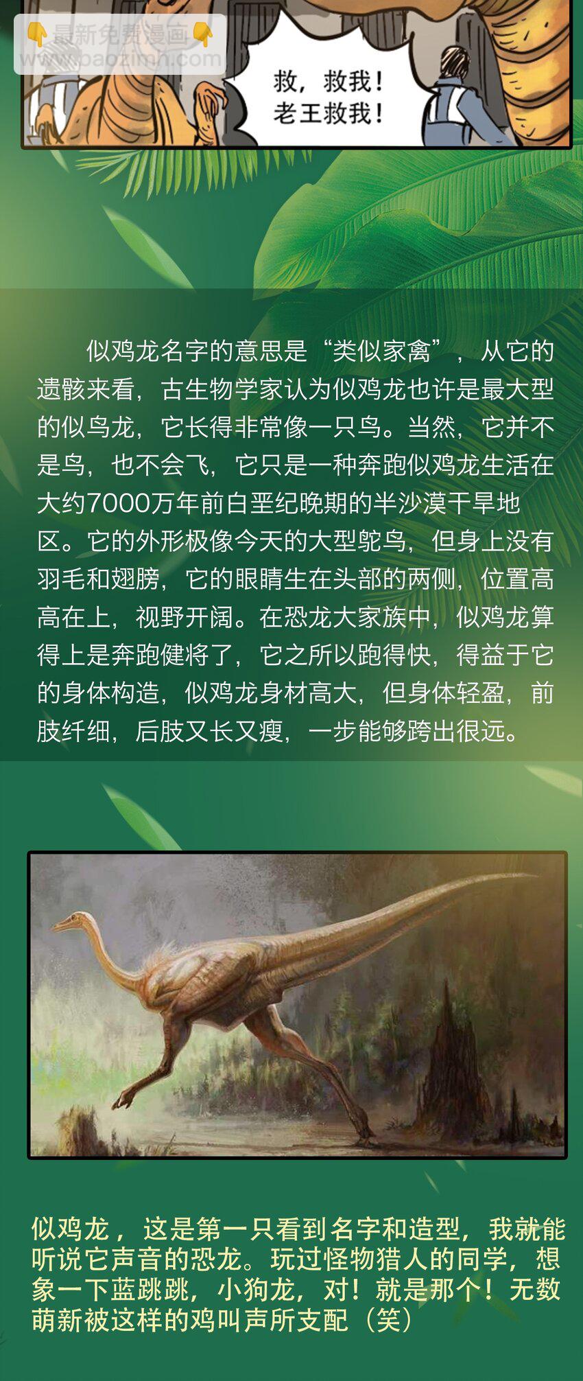 《404事件簿-30秒后世界末日》百科 虫男大百科3 第19页
