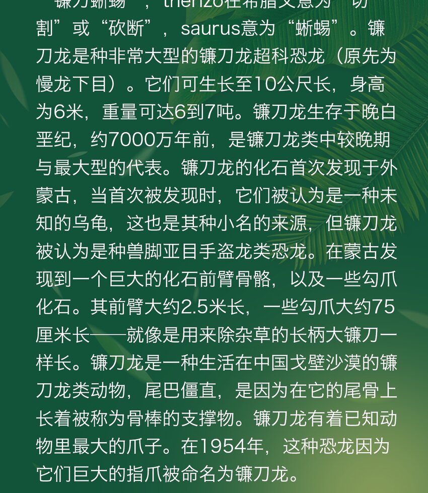 《404事件簿-30秒后世界末日》百科 虫男大百科3 第25页