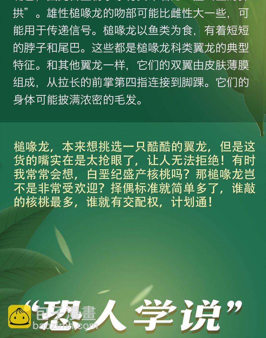 《404事件簿-30秒后世界末日》百科 虫男大百科3 第29页