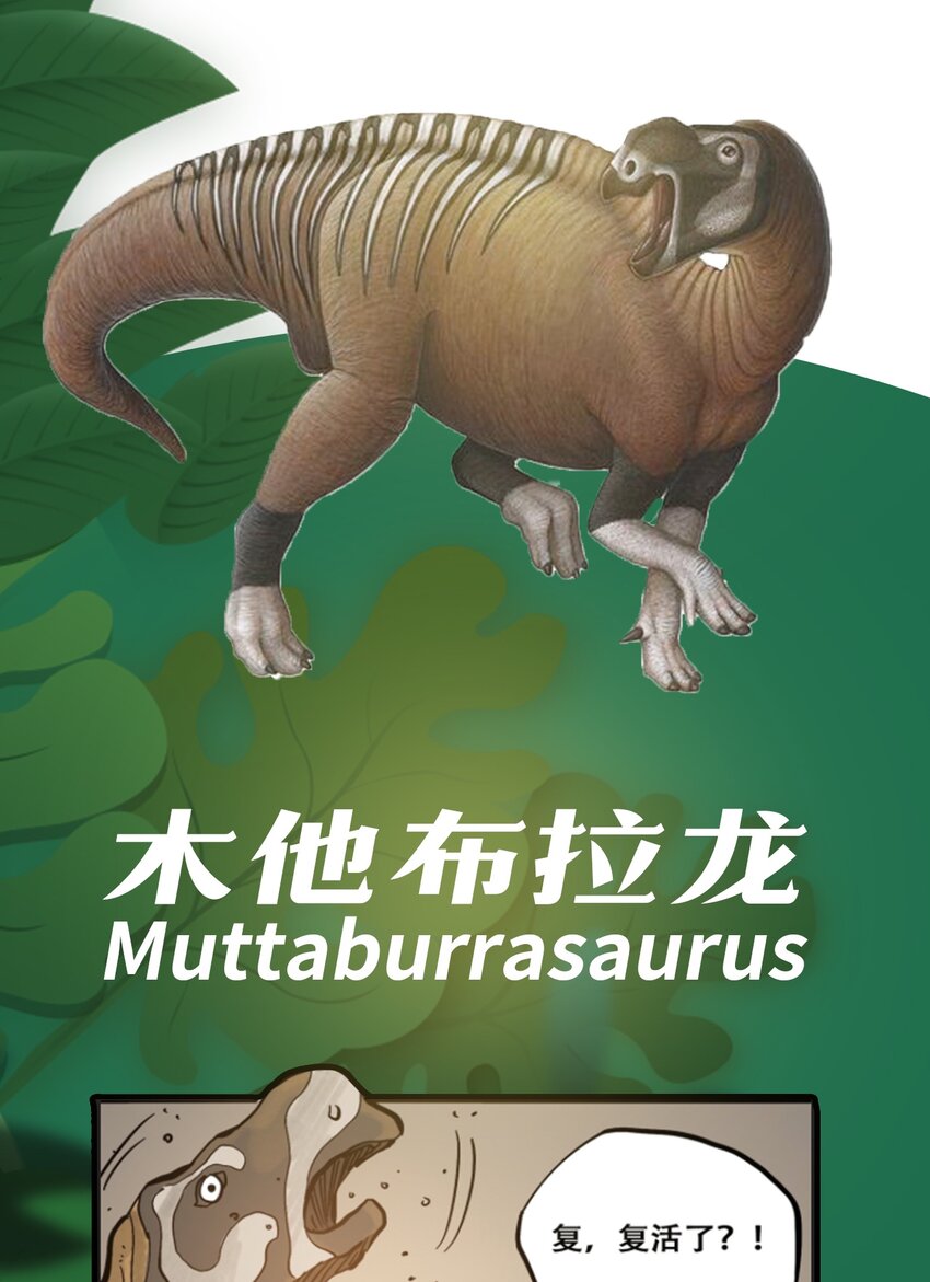 《404事件簿-30秒后世界末日》百科 虫男大百科3 第3页