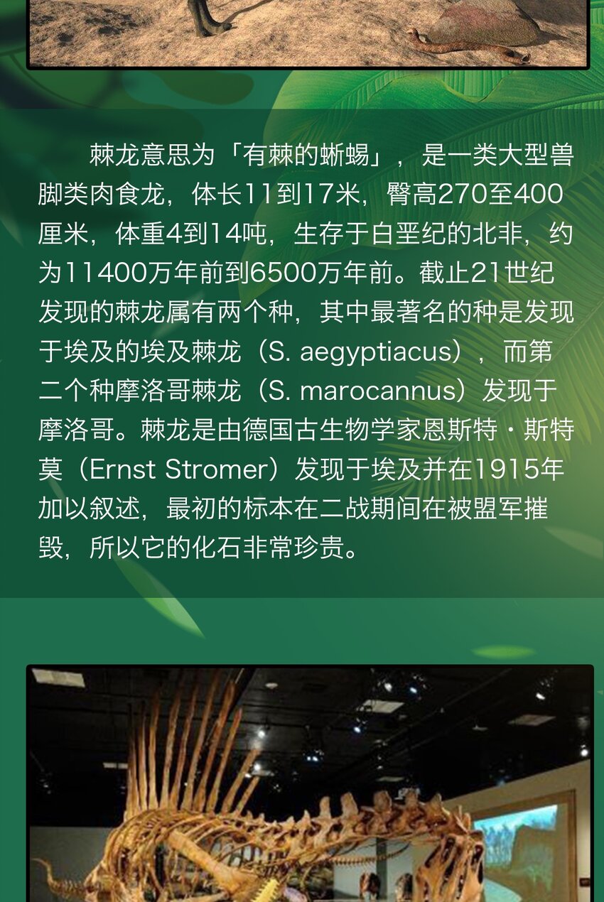 《404事件簿-30秒后世界末日》百科 虫男大百科3 第7页