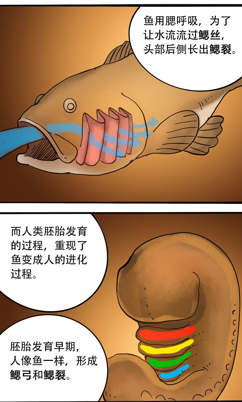 《404事件簿-30秒后世界末日》番外3 设计人类 第11页