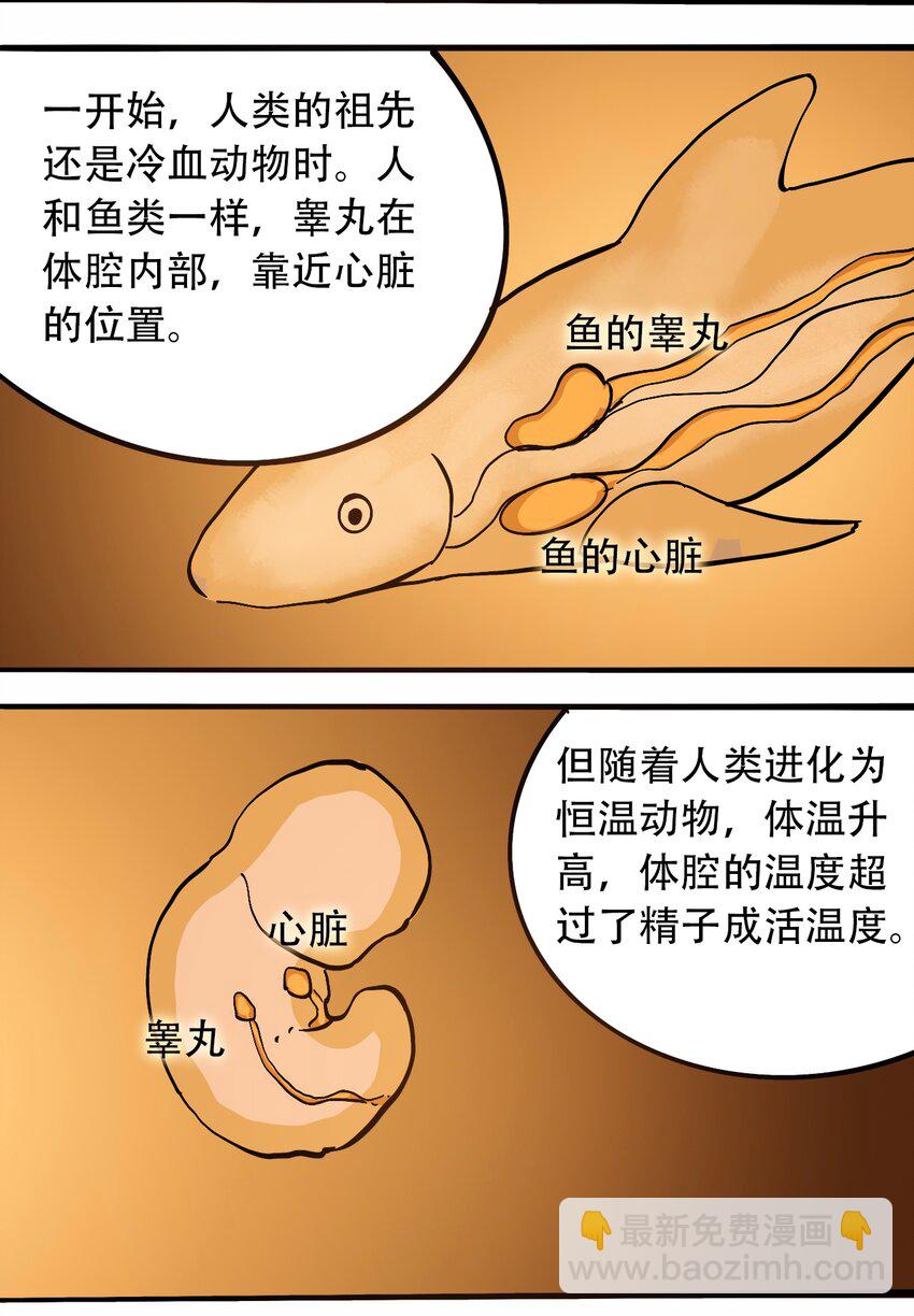 《404事件簿-30秒后世界末日》番外3 设计人类 第14页