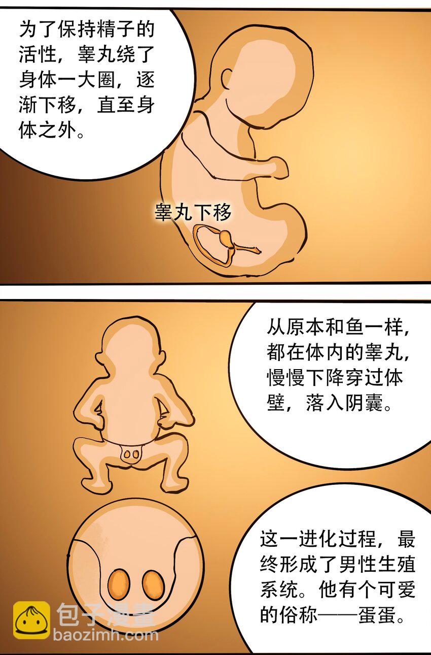 《404事件簿-30秒后世界末日》番外3 设计人类 第15页