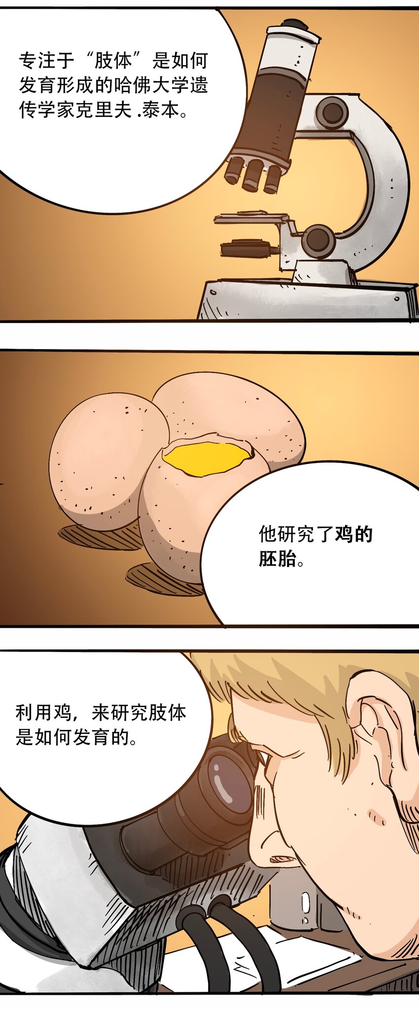 《404事件簿-30秒后世界末日》番外3 设计人类 第25页