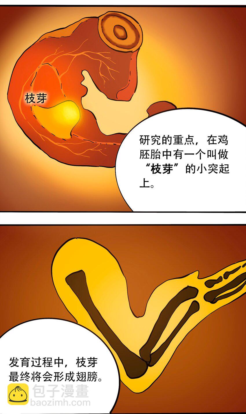 《404事件簿-30秒后世界末日》番外3 设计人类 第26页
