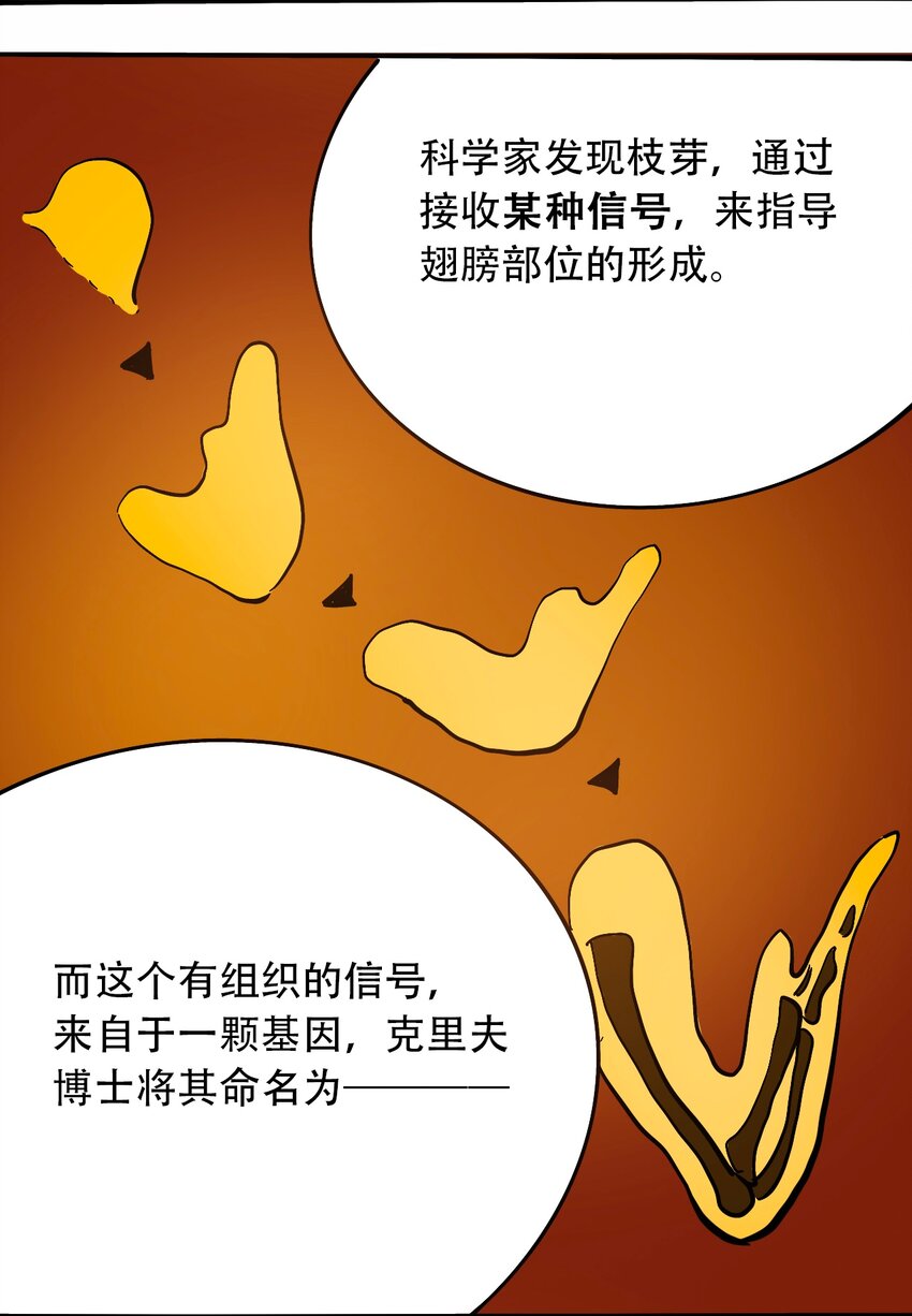 《404事件簿-30秒后世界末日》番外3 设计人类 第27页