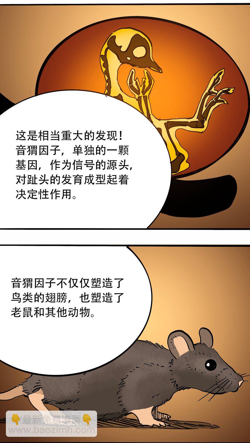 《404事件簿-30秒后世界末日》番外3 设计人类 第31页