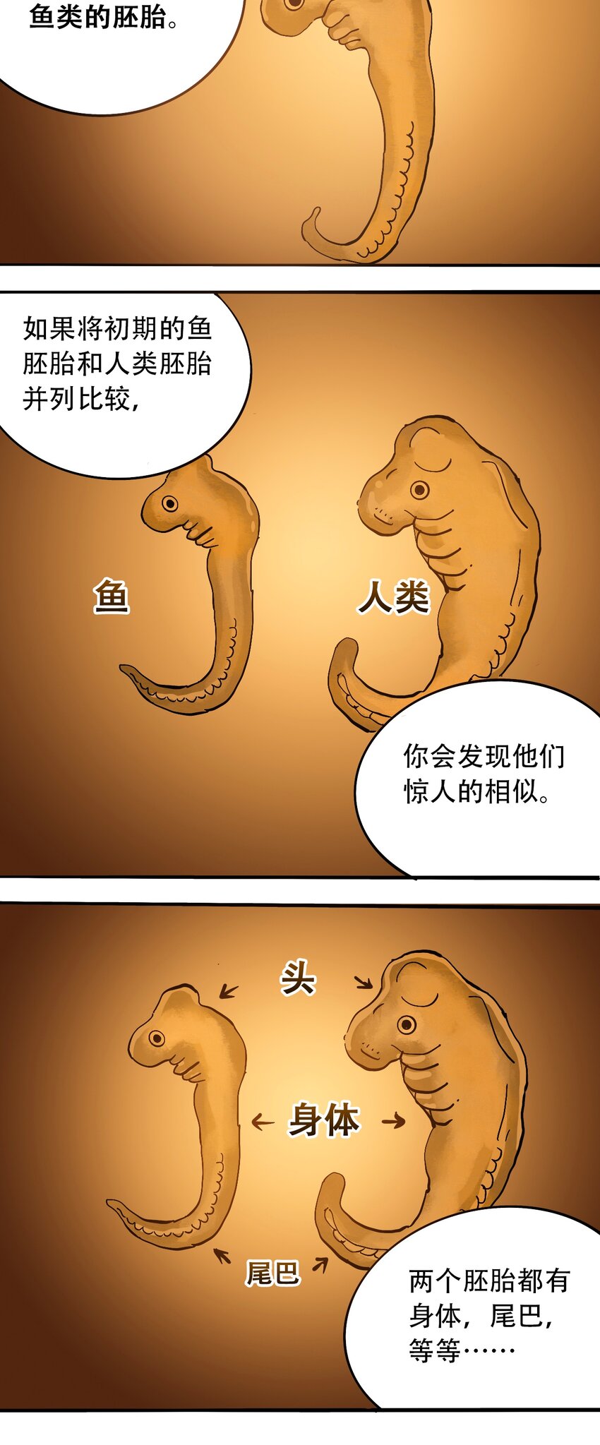 《404事件簿-30秒后世界末日》番外3 设计人类 第9页