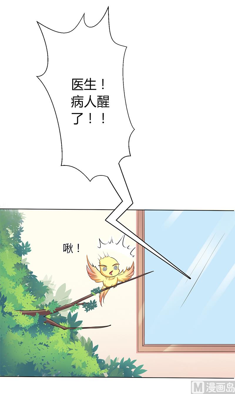 《致命甜妻 男神纳命来》第70话 你终于醒了 第13页