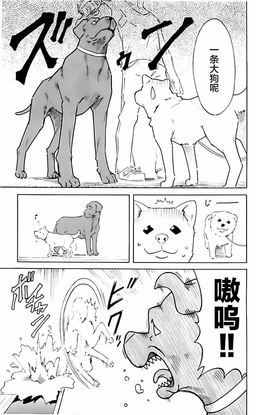 《侵略！乌贼娘》第317话 第7页