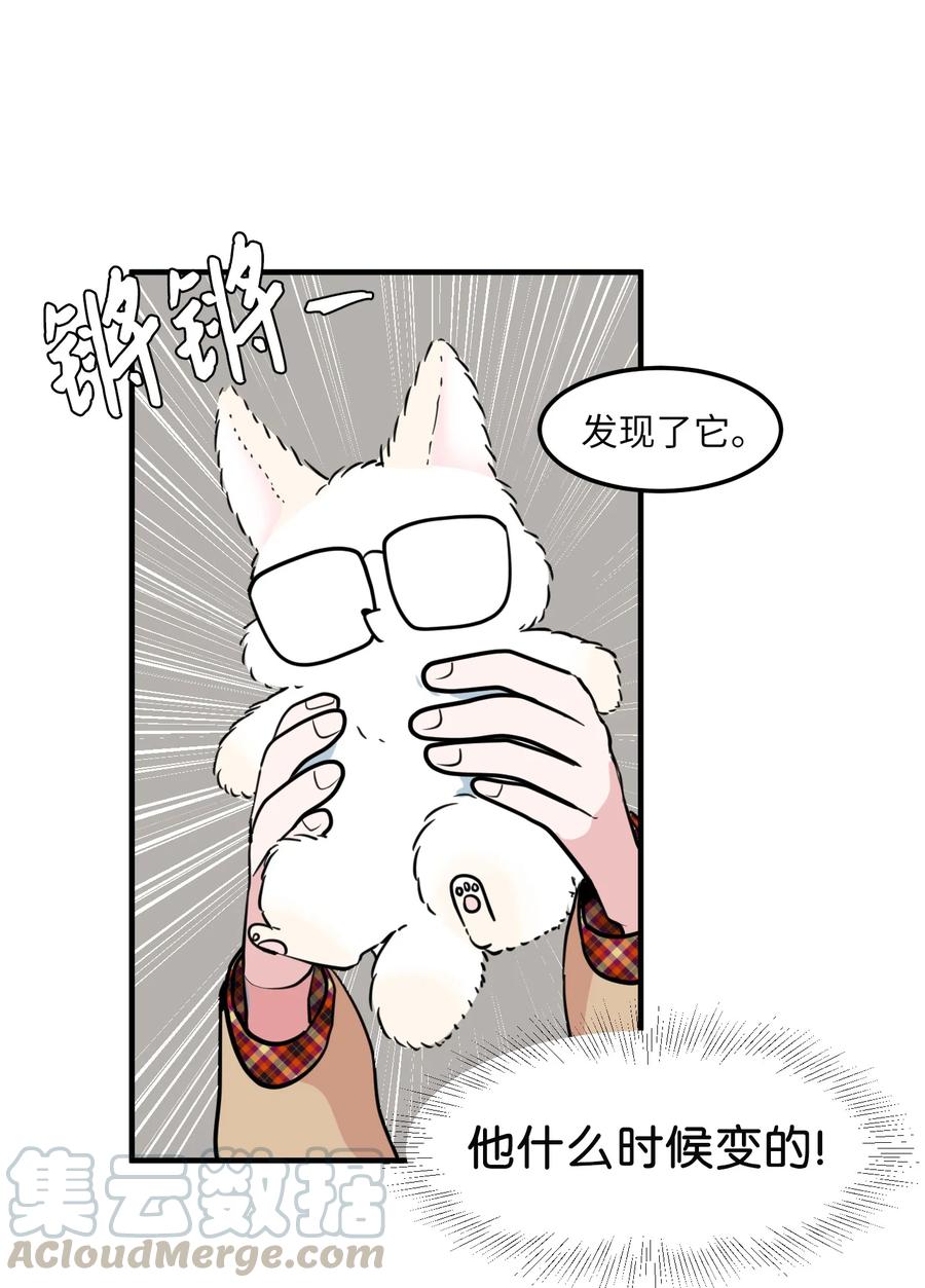 《某天成为魔王》70 寻勇士头发记2 第49页