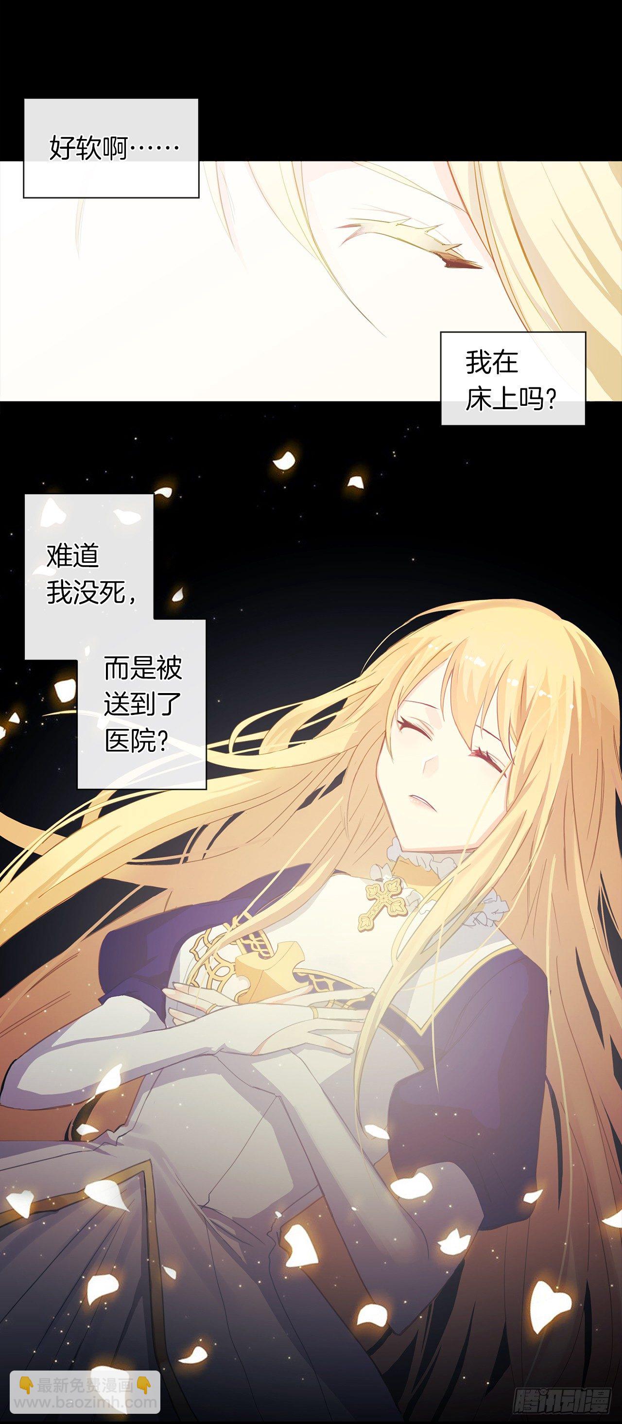 《皇帝的伴侣》1.觉醒于异世界 第12页