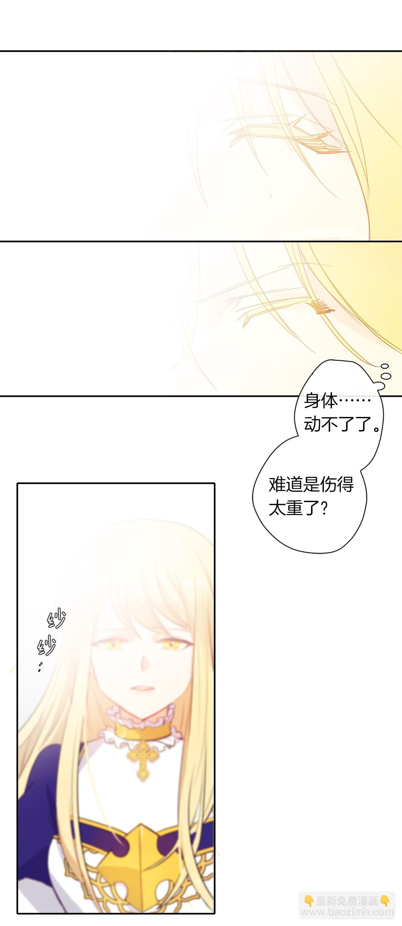 《皇帝的伴侣》1.觉醒于异世界 第17页