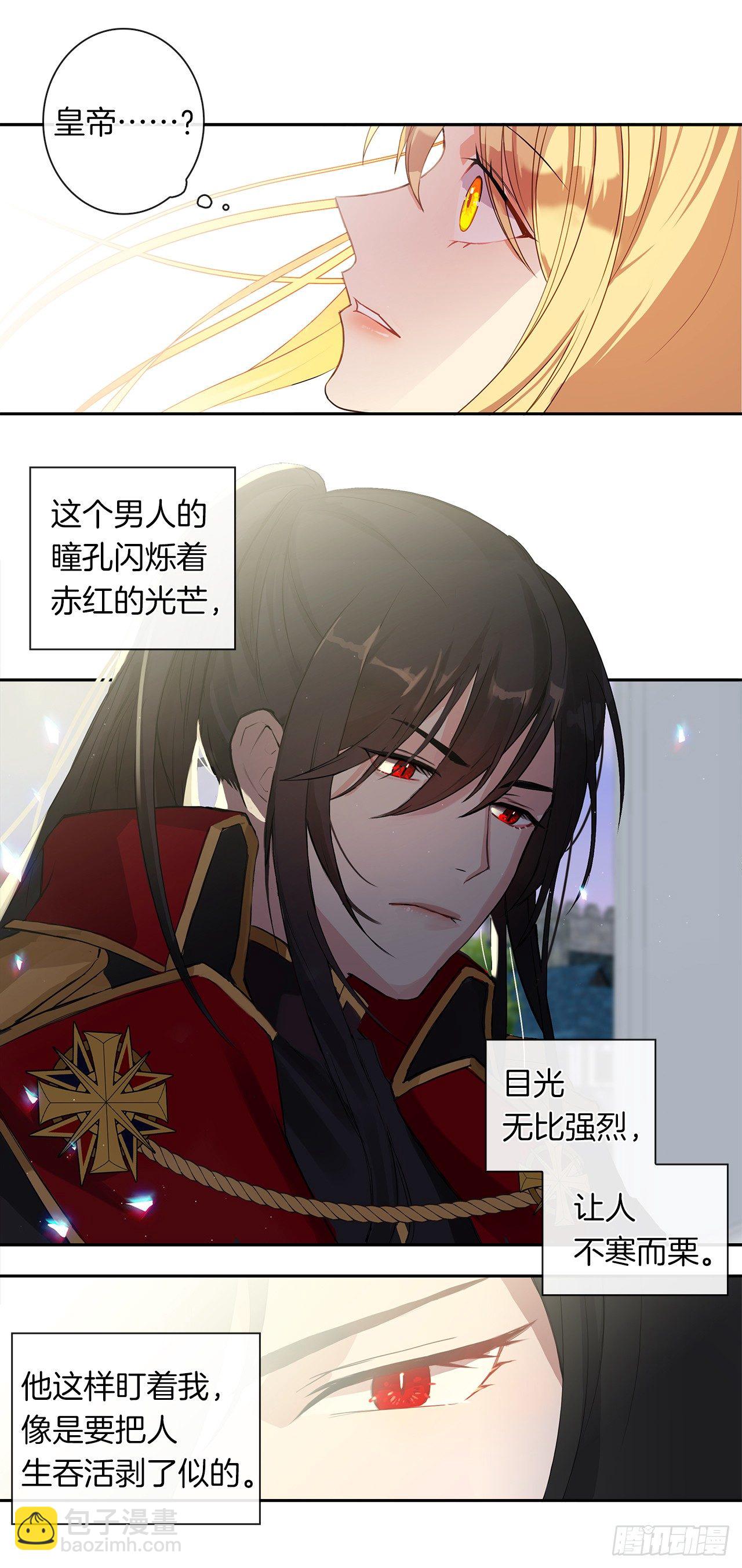 《皇帝的伴侣》1.觉醒于异世界 第33页