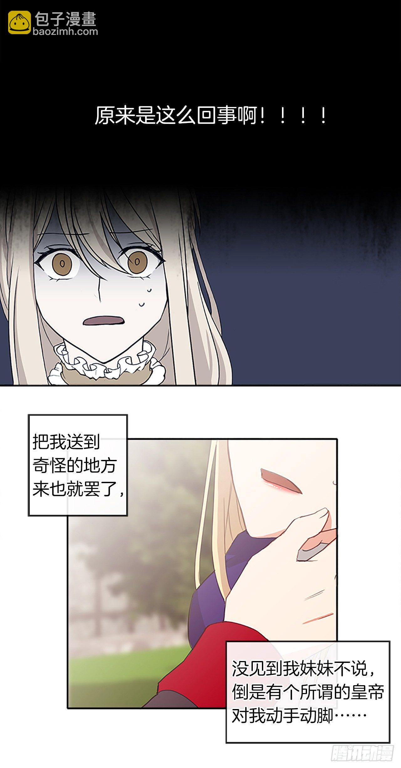 《皇帝的伴侣》1.觉醒于异世界 第47页