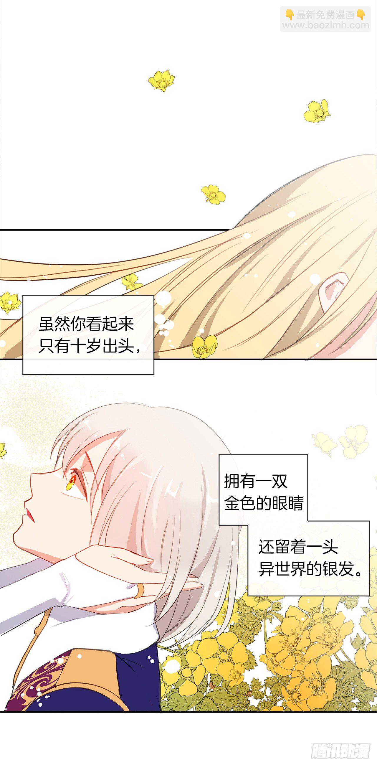 《皇帝的伴侣》4.这一世换我来护你 第12页