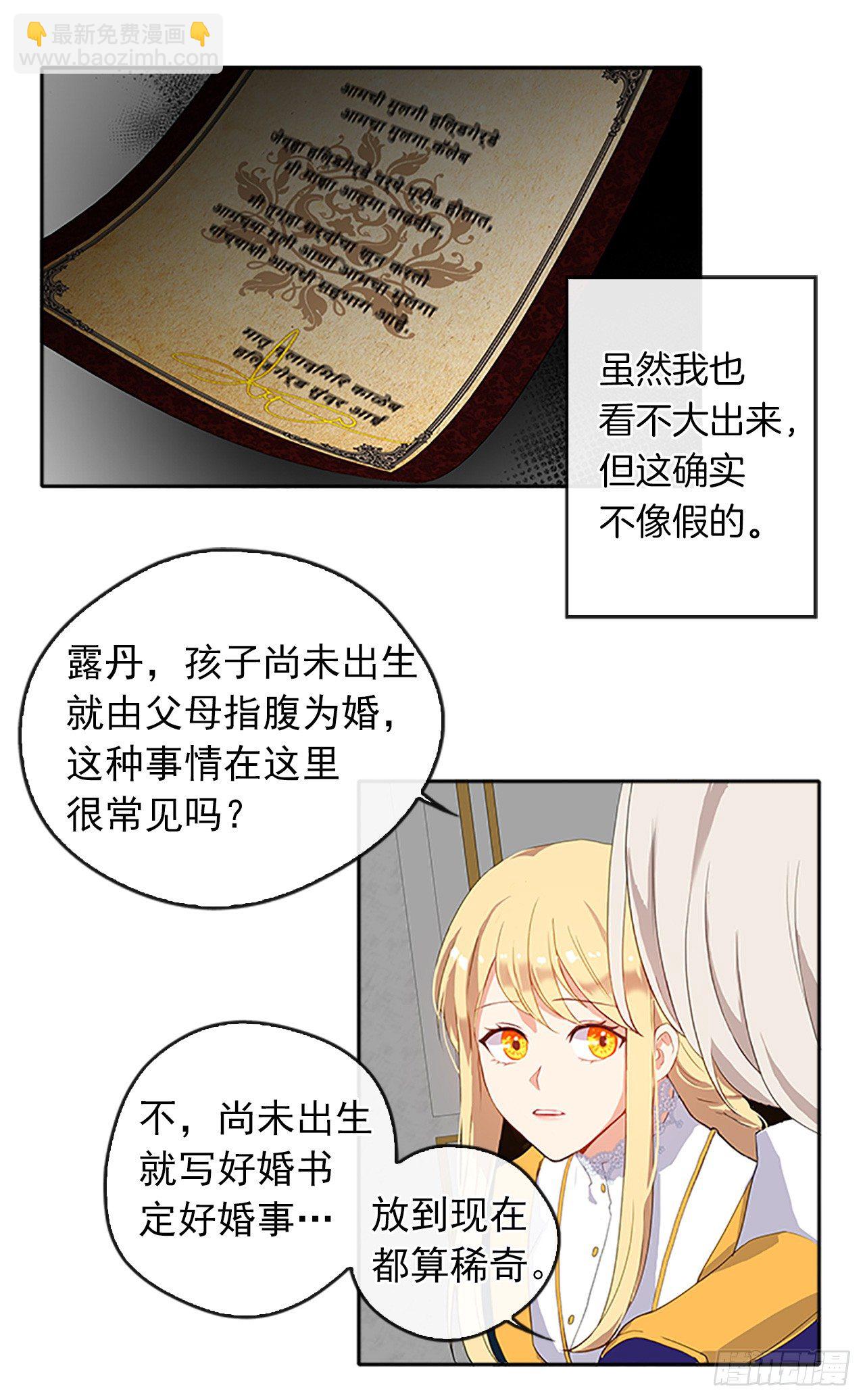《皇帝的伴侣》10.一纸婚约 第13页