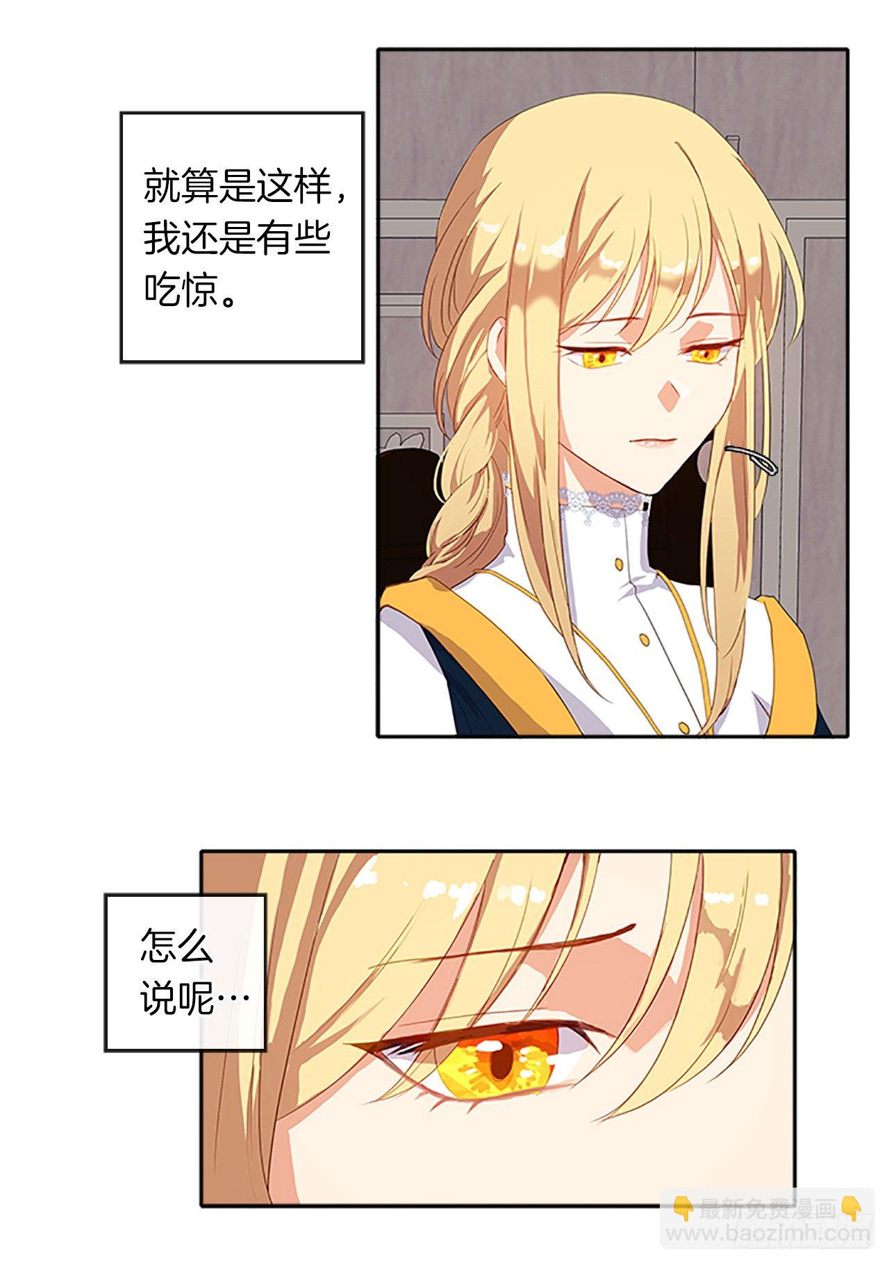 《皇帝的伴侣》10.一纸婚约 第17页