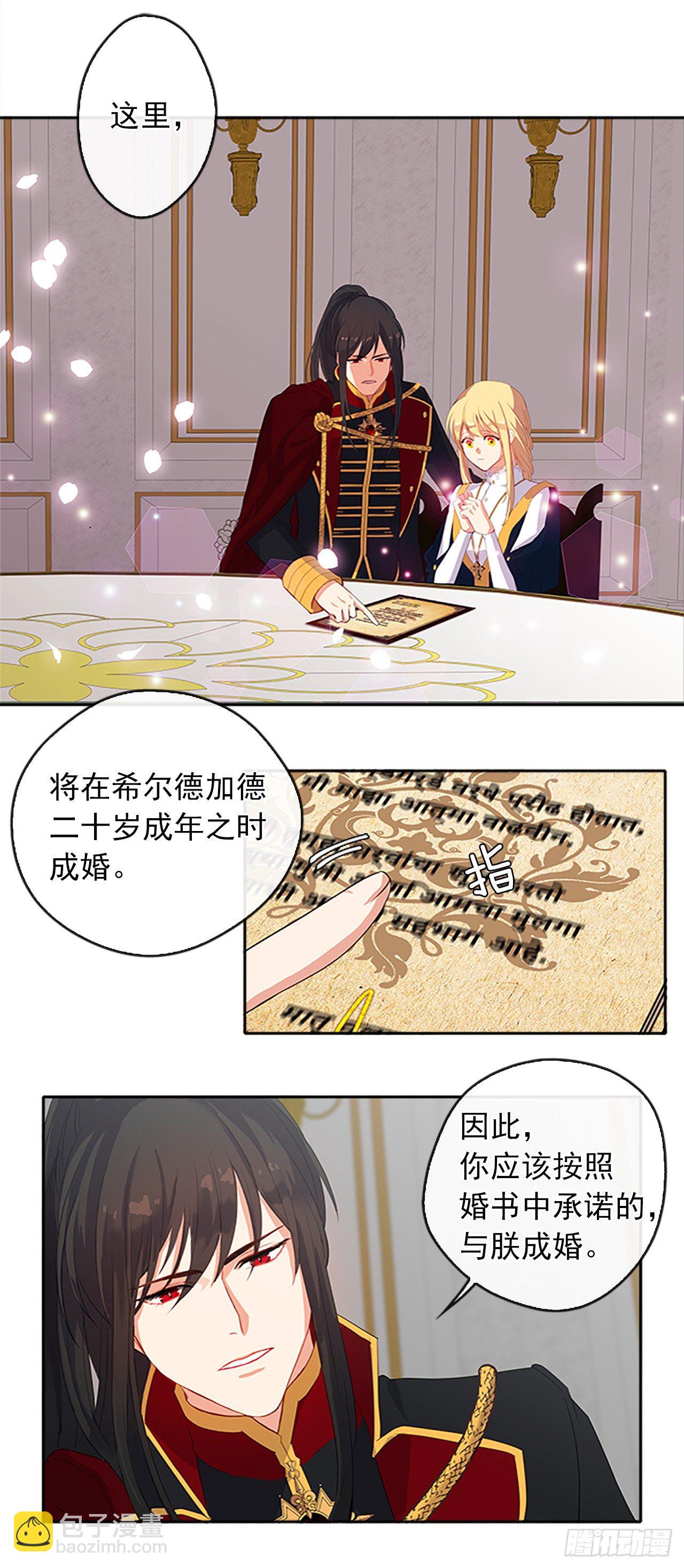 《皇帝的伴侣》10.一纸婚约 第20页