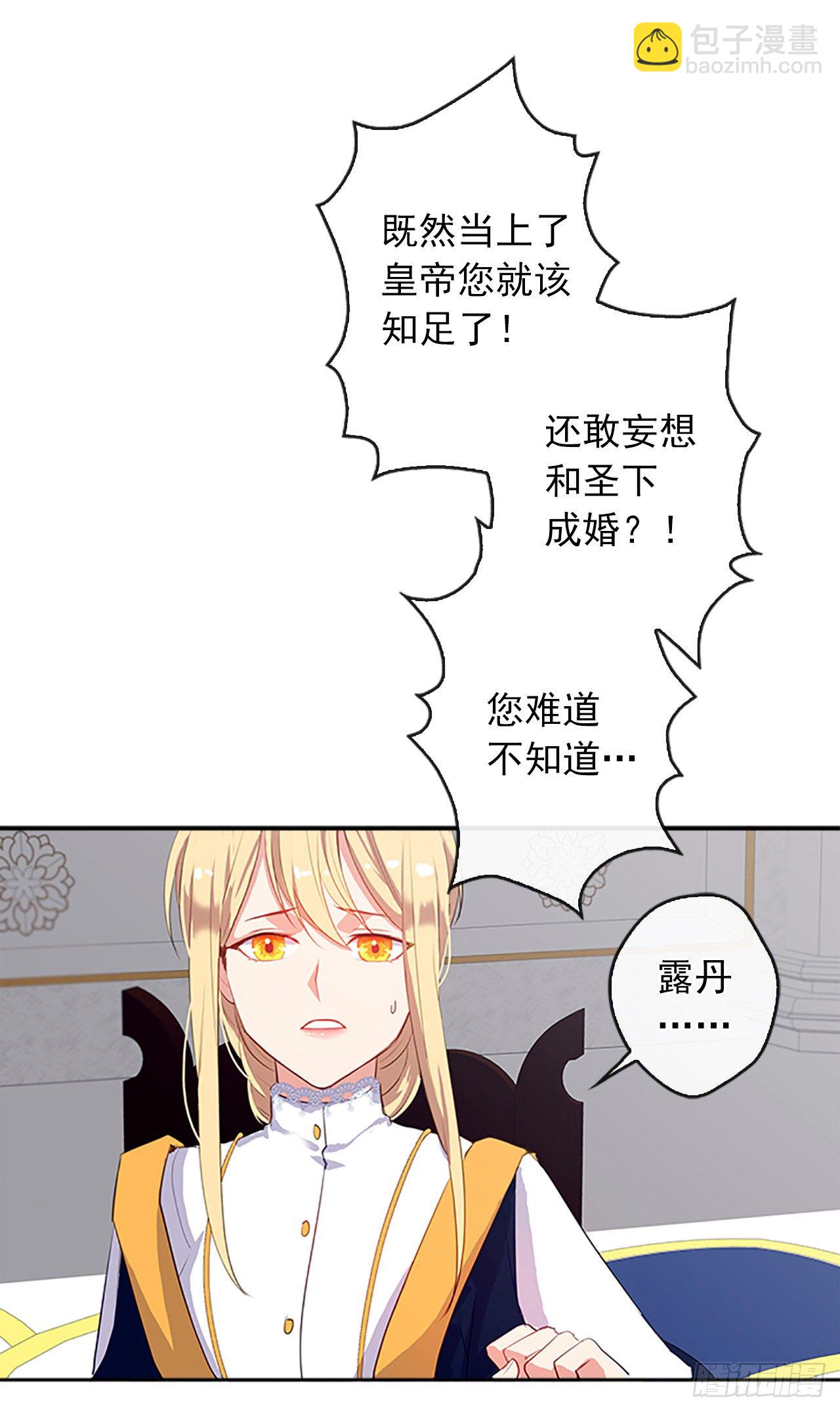 《皇帝的伴侣》10.一纸婚约 第38页
