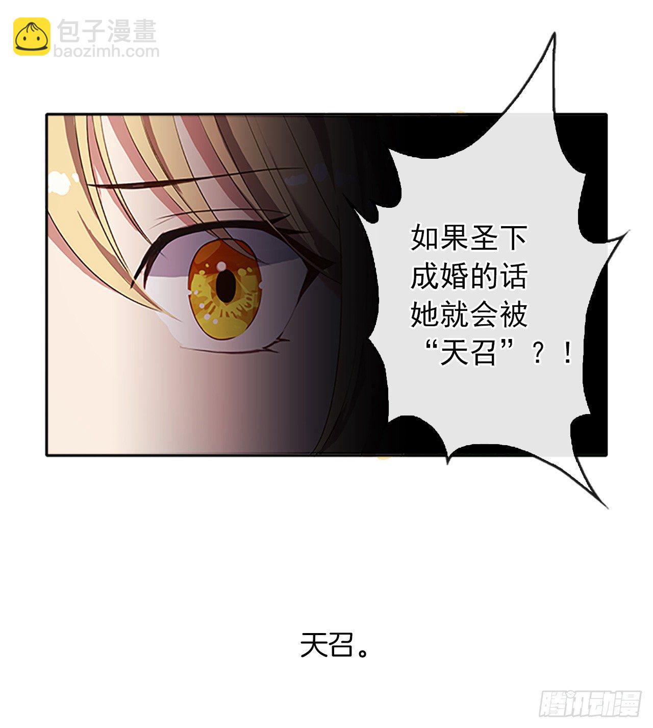 《皇帝的伴侣》10.一纸婚约 第39页