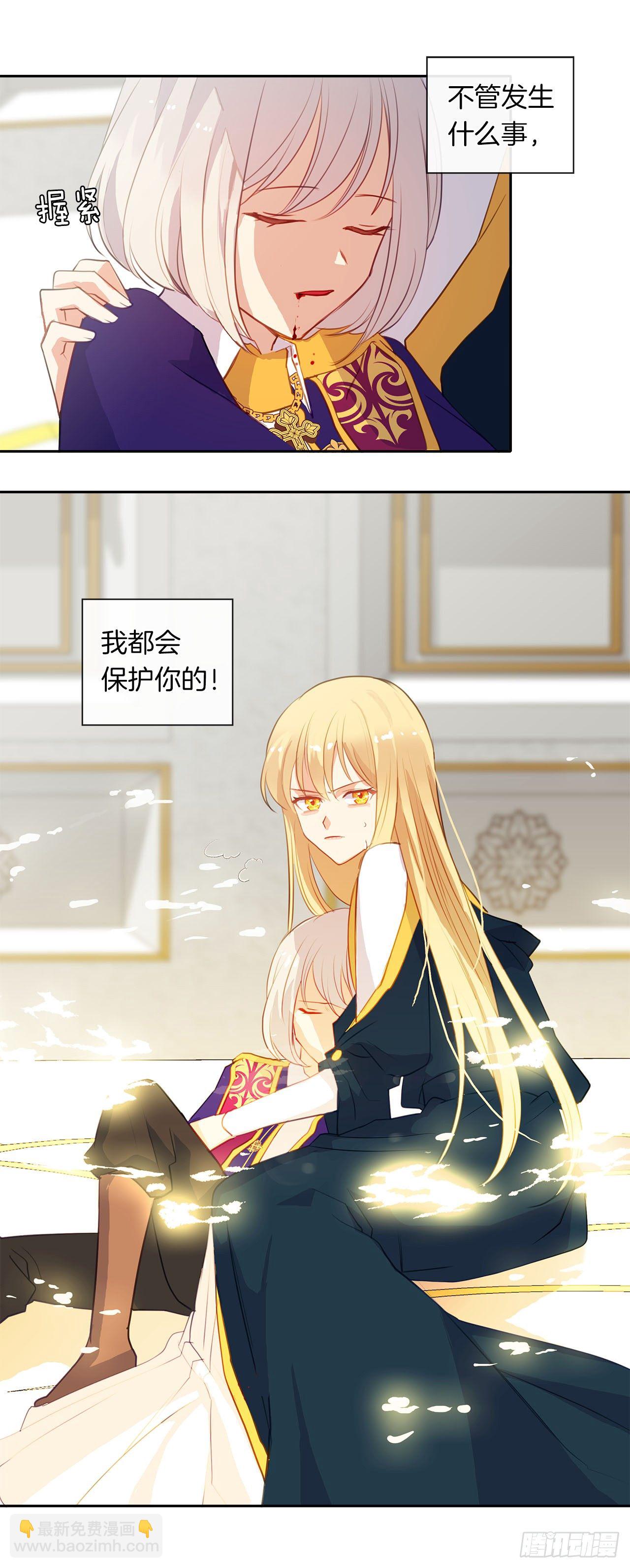 《皇帝的伴侣》10.一纸婚约 第45页