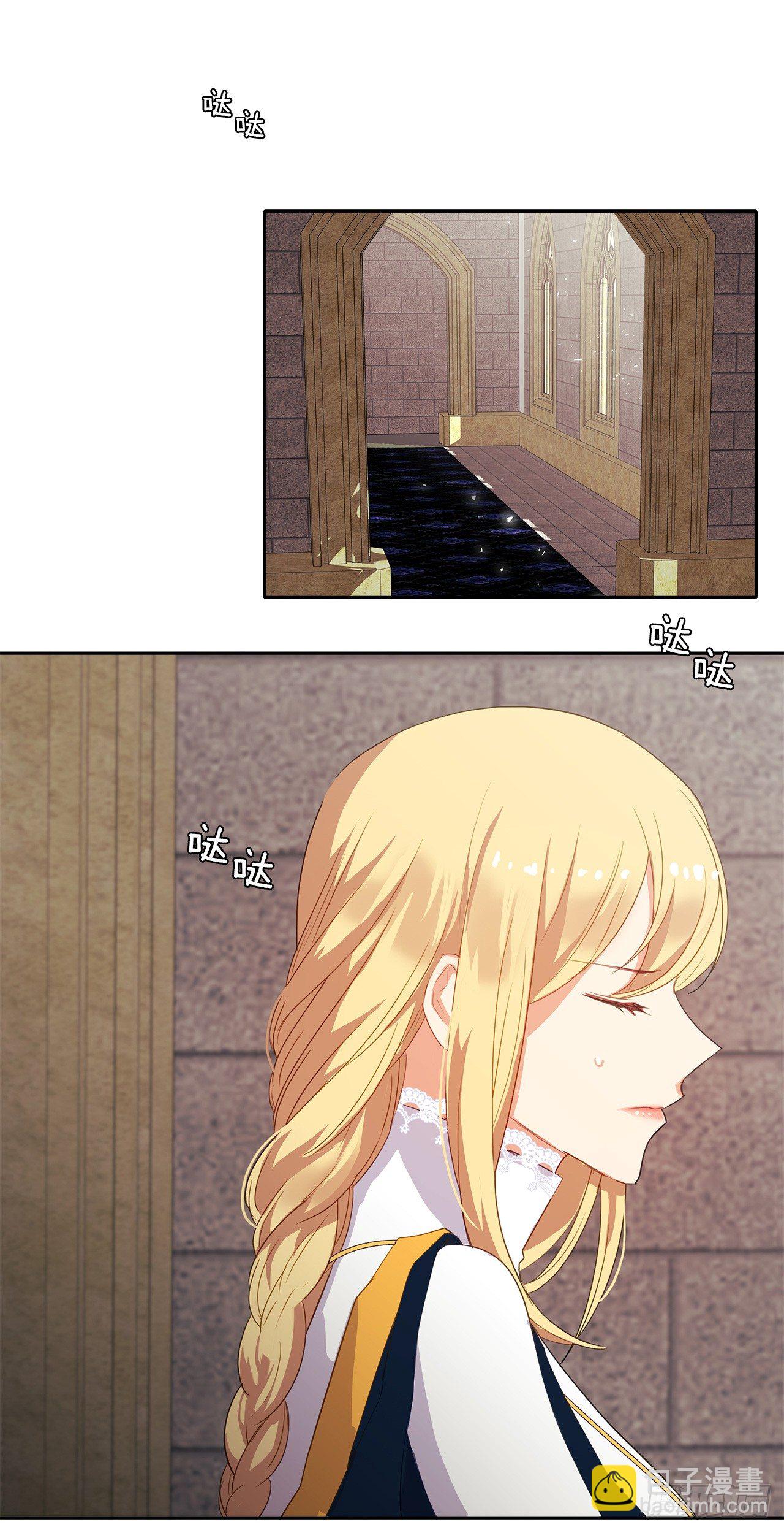 《皇帝的伴侣》9.我是陛下的未婚妻？ 第11页