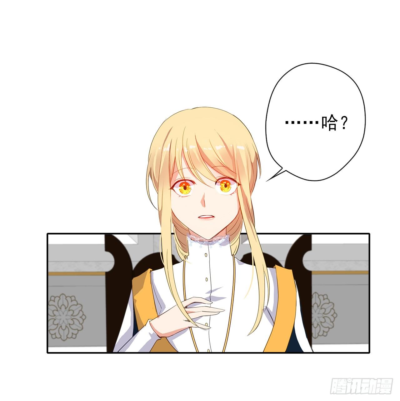 《皇帝的伴侣》9.我是陛下的未婚妻？ 第30页