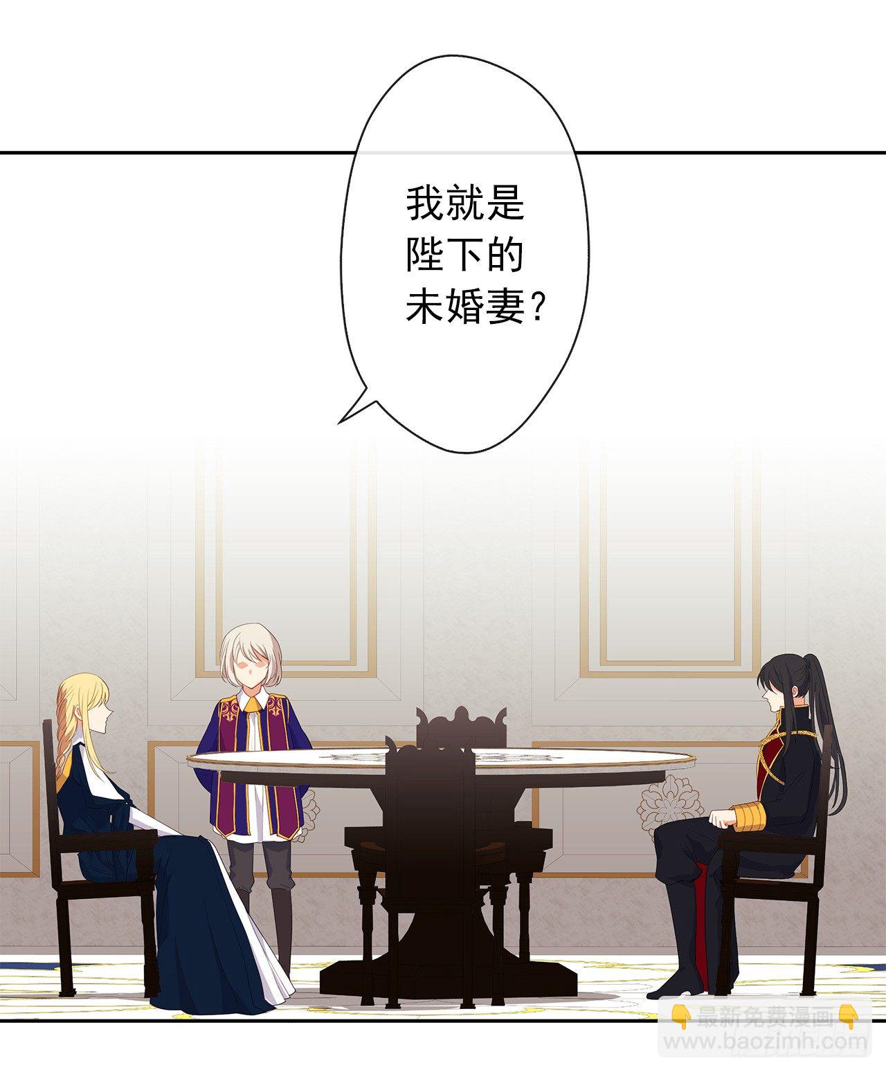 《皇帝的伴侣》9.我是陛下的未婚妻？ 第33页