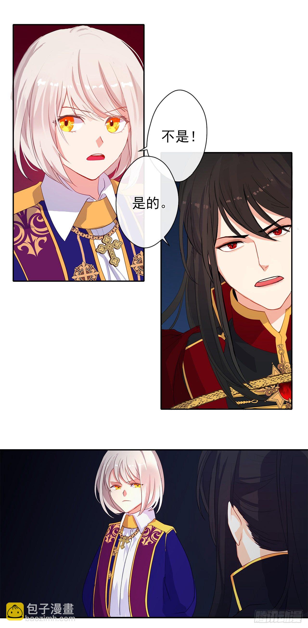 《皇帝的伴侣》9.我是陛下的未婚妻？ 第34页
