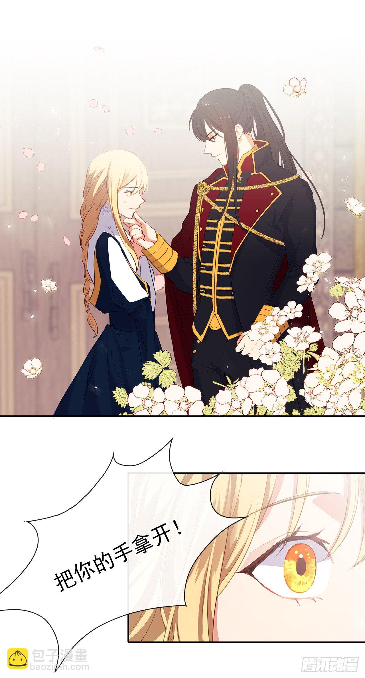 《皇帝的伴侣》9.我是陛下的未婚妻？ 第4页