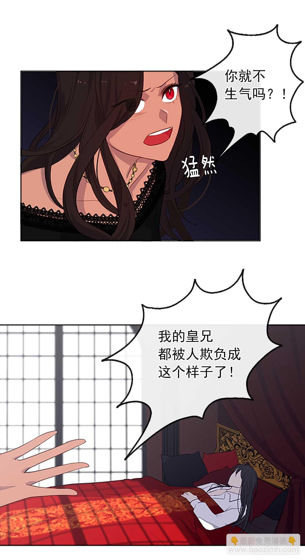 《皇帝的伴侣》15.不折不扣的疯子 第17页
