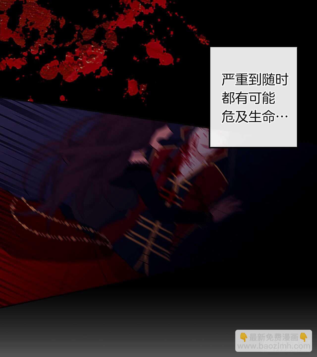 《皇帝的伴侣》15.不折不扣的疯子 第20页