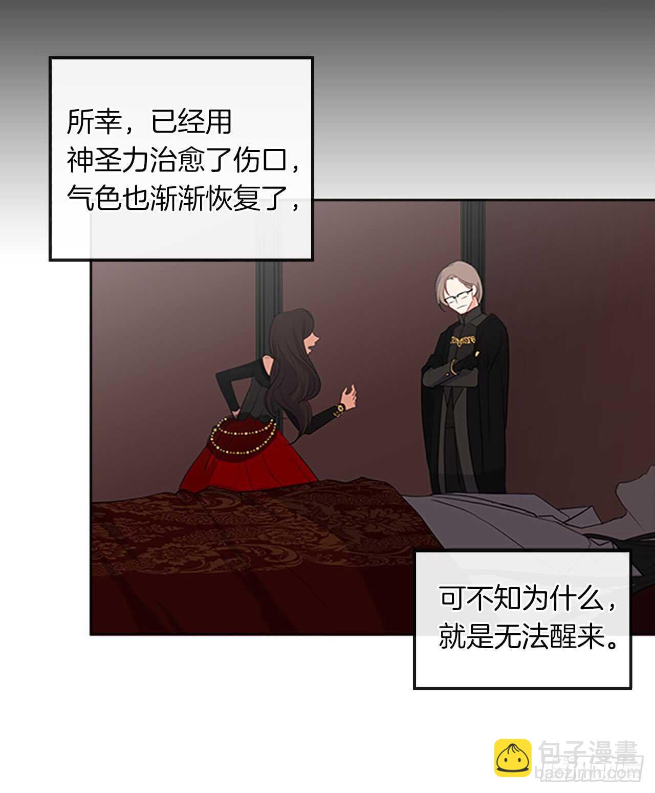 《皇帝的伴侣》15.不折不扣的疯子 第21页