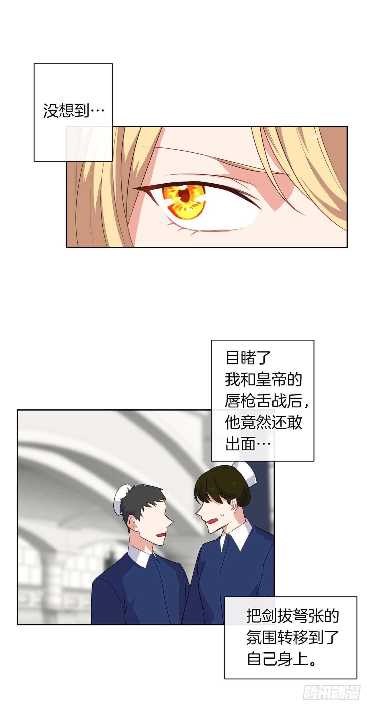 《皇帝的伴侣》23.厉害的人物 第13页