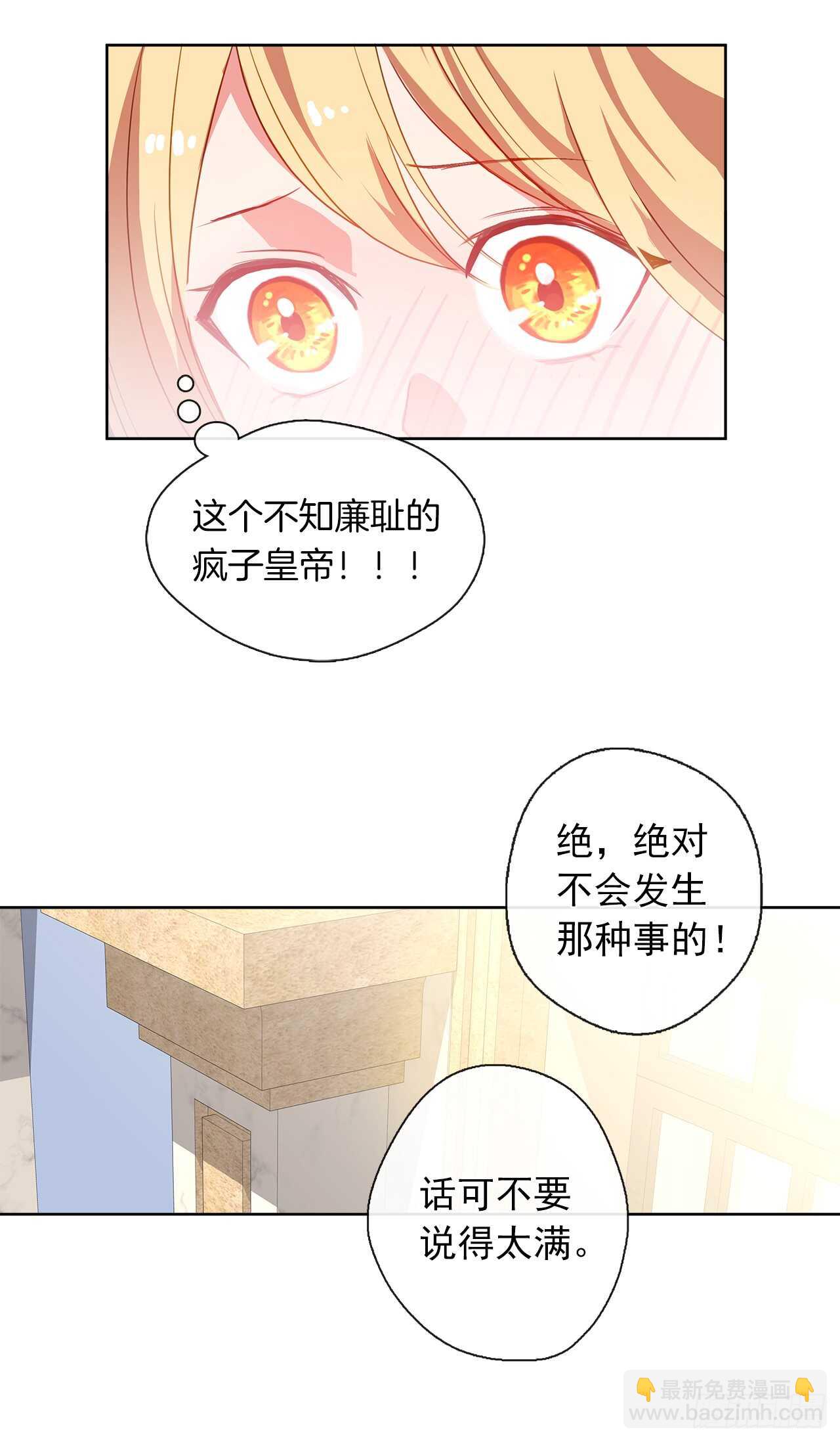 《皇帝的伴侣》27.唯独对你的渴望 第33页