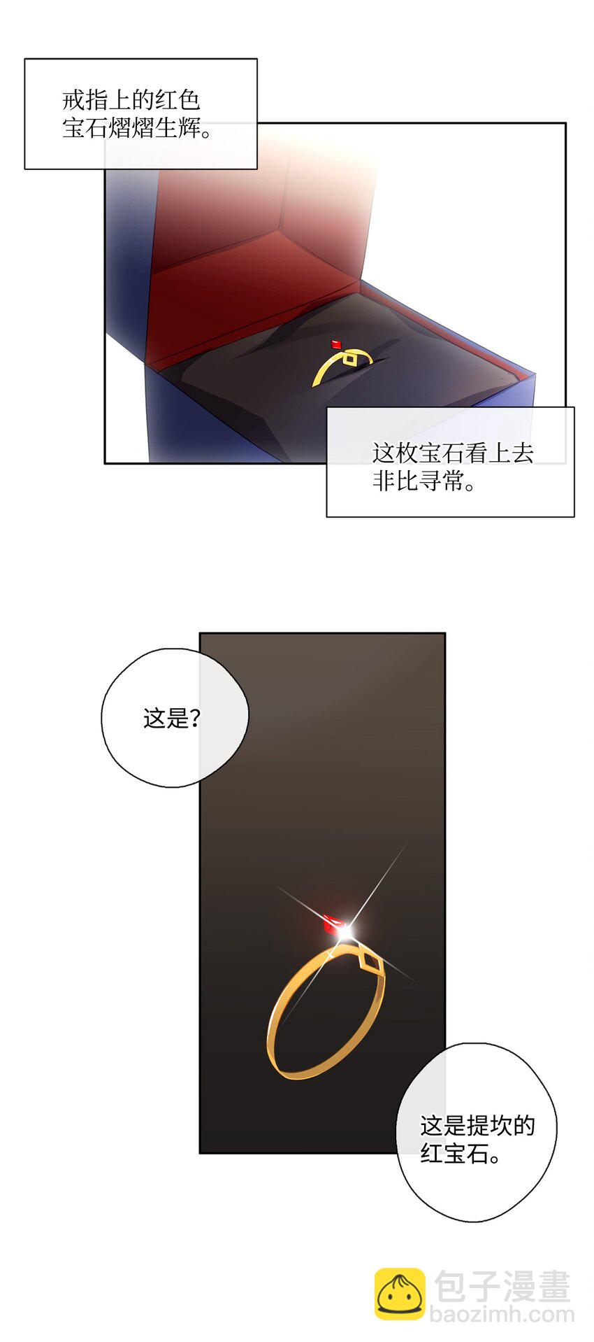 《皇帝的伴侣》30 非同寻常的红宝石 第35页